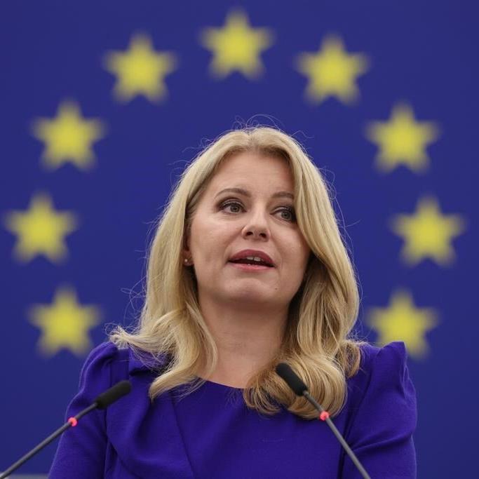 Slovakia parliament changes constitution to enable snap vote